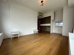 Rhapsody On Mount Elizabeth (D9), Apartment #562197301